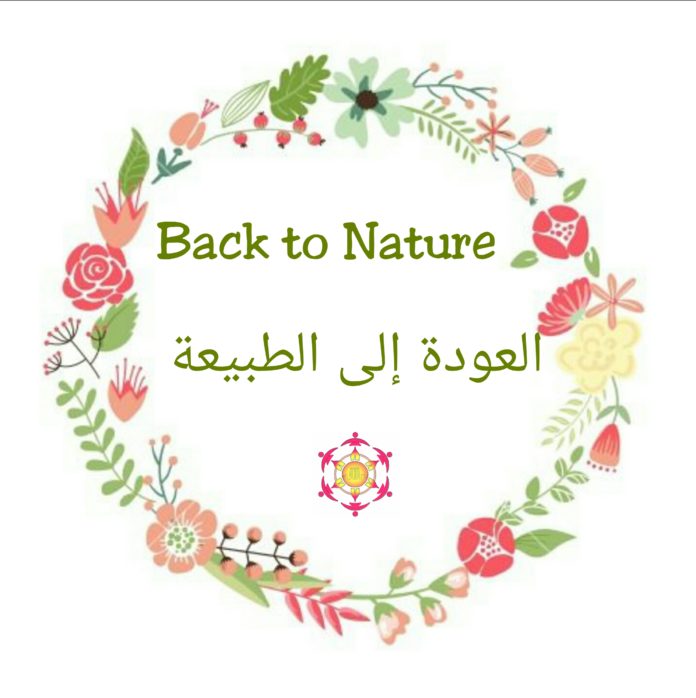 Back to Nature | UAE MOMS | #1 Social Community Group for all Women in UAE 